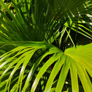 我被八个男人玩到早上H
